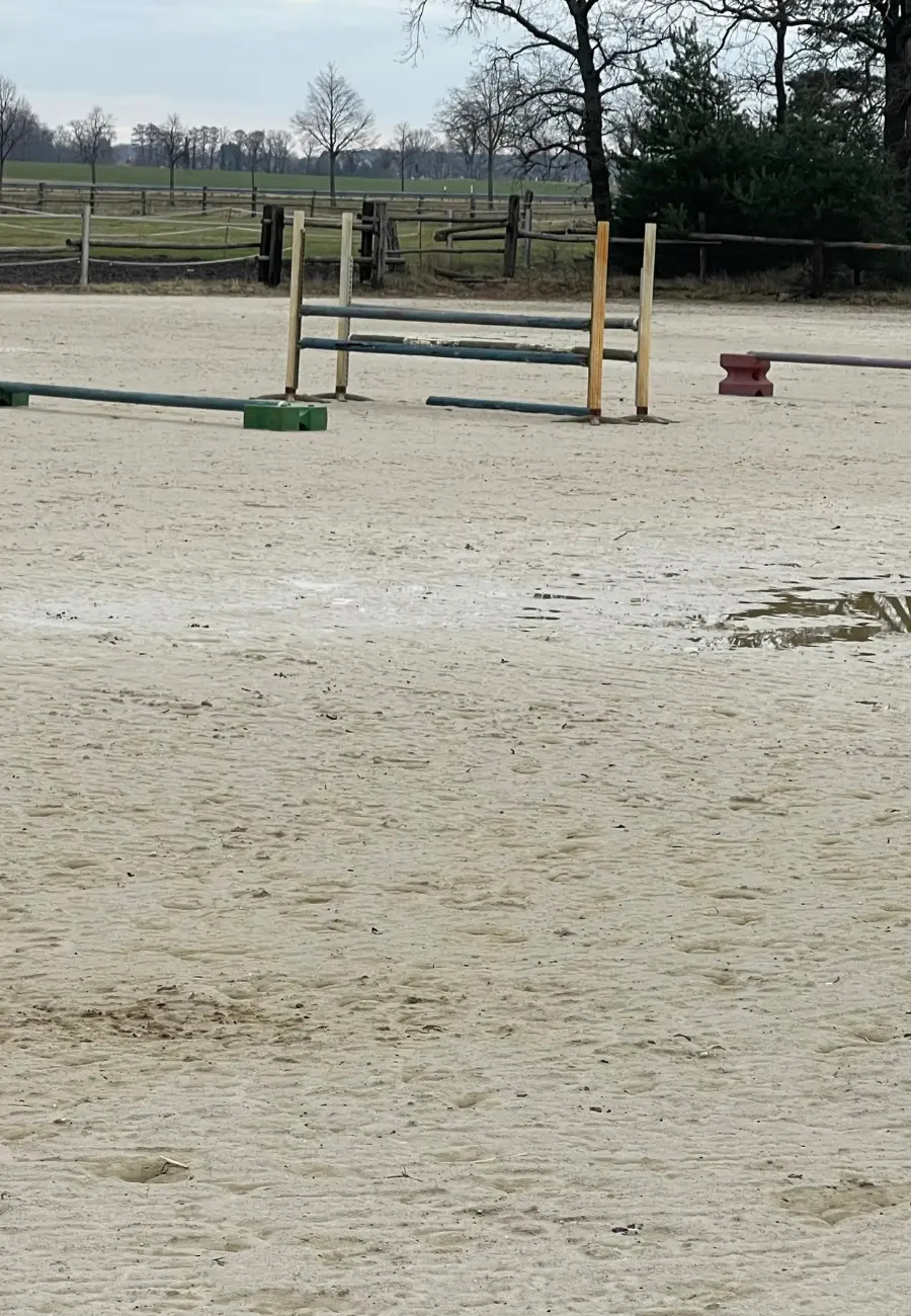 Feinkörniger Reitsand für Dressur- und Springplätze