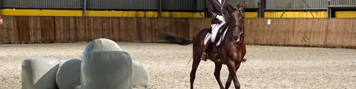 Vlieshäcksel Naturfaser und Viskose gleichmäßig auf Reitplatz verteilen – federnd & stabil